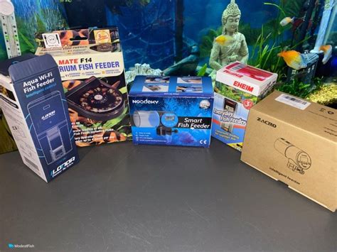 fish feeder|The 5 Best Automatic Fish Feeders .